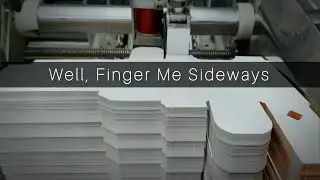 Like a Karate Kick to the Face - Bobst Expertfold - Folder / Gluer
