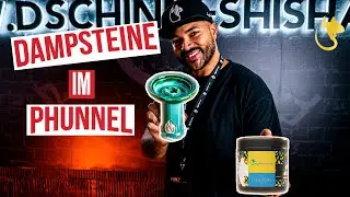 🍦🍋PHUNNELKOPFBAU MIT DAMPFSTEINEN LMN FRSH🍦🍋 | Anleitung und Review