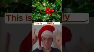 Can you guess these Christmas words?