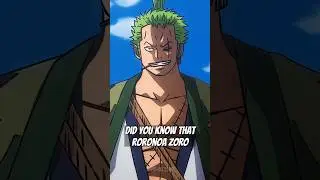 Did You Know That Roronoa Zoro...