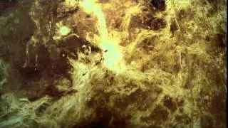 Surface from the Venus