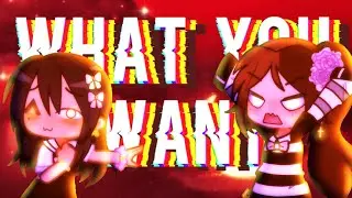 [FL] TELL ME WHAT YOU WANT MEME || 1.14k Special ❦
