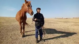 Как одевать триног