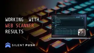 Working with results in Web Scanner