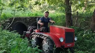 A mini-tractor with a crawler harrows potatoes and carries water for the garden.