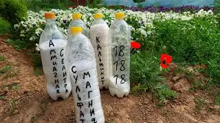 Сульфат Магния + Азотные удобрения ❗️БОМБА ДЛЯ РОСТА РАССАДЫ. Магний усиливает Азот. БАКОВАЯ СМЕСЬ🔥🔥