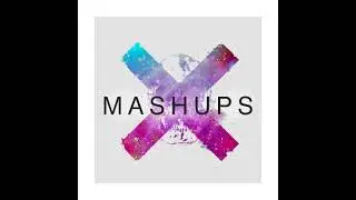 Tiesto - The Business & Sevenn - Naked in the Rain (Rodri Jerez Mashup)