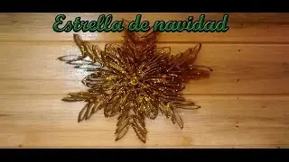 Estrella de navidad