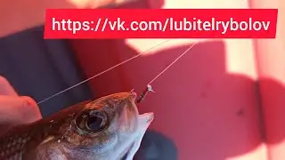 Изготовление рабочего комарика для ловли хариуса на Енисее