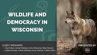 Wildlife and Democracy in Wisconsin