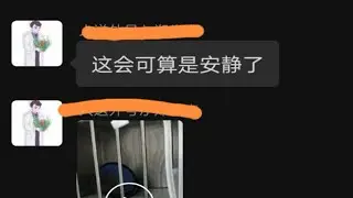 医院发来的视频，小猪们加油。