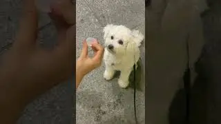 Cháu bé đi chơi
