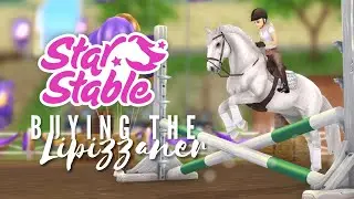 I've Misjudged II Buying The New Lipizzaner