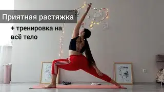 Мягкая сила. Гибкость и пластика + тренировка на всё тело. Динамическая растяжка на всё тело