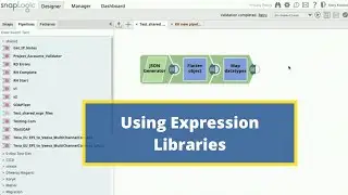 Using Expression Libraries
