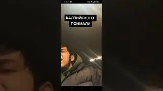 Шамиль Каспийский (Хипишь) 🔥