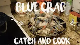 HOW TO CATCH BLUE CRABS WITHOUT A TRAP + CATCH CLEAN COOK!