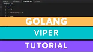 golang viper tutorial - read config yaml, toml, env
