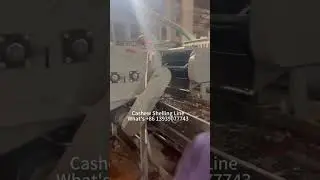 In China Cashew Nut Shelling Production Line Machine manufacturer #machine