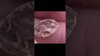 Нашел на дне реки старинные монеты! Поиск монет, древние находки с металлоискателем! #shortsvideo