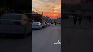 شاريا