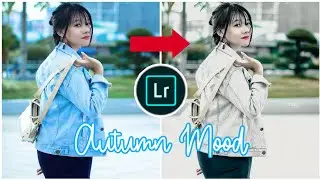 Fre Preset Filter Kekinian ~ Autumn Mood (Tutorial LIGHTROOM 2020)