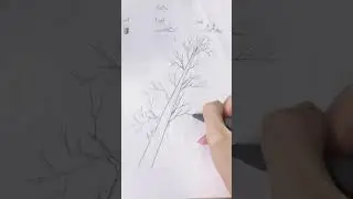 A pine tree