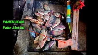 PASER IKAN CROSBOW KAYU