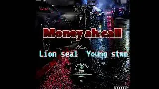Lion Seal ^ Young Stwm - 