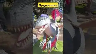 Предки птиц