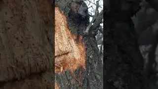прилет снаряда по трубе ч3 