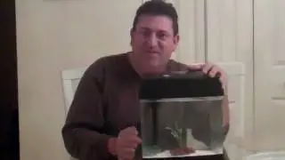 HOW TO KEEP CRAYFISH AS PETS #1