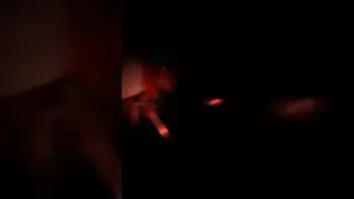 На пути этих людей встретились необычные и пугающие создания 