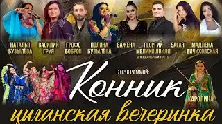 КОНЦЕРТ. 20 Ноября ВАСИЛИЙ ГРУЯ , НАТАЛЬЯ БУЗЫЛЁВА. С Программой, Конник. ЦЫГАНСКАЯ ВЕЧЕРИНКА.