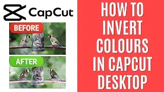 How to Invert Colours in CapCut Desktop [Quick Guide]