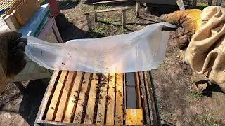 Beekeeper's mistakes/The bees didn't take the food. The food went sour!