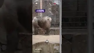 Очень любит позировать 😍