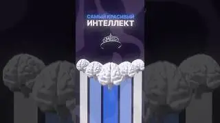 Премия за самый красивый интеллект 😱