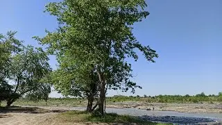 Ингушетия. Река Асса.