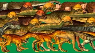 Jurassic Park Dinosaurus Animals Stampede Green Screen Best HD Dinosaurus Green  Screen Video