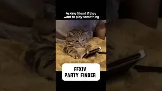 Raiding in party be like #ff14 #ffxivmemes #ffxiv #mmo