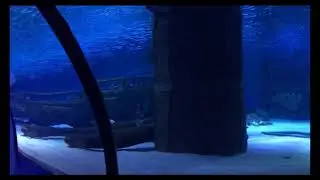 اكواريوم انطاليا الساحرة