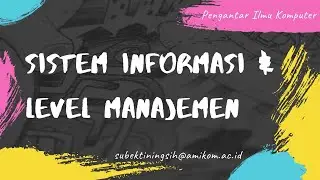 Information System