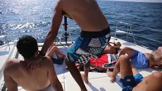zhitos cruising