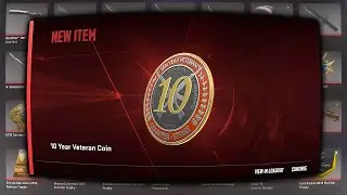 10 YEAR VETERAN COIN MOMENTS
