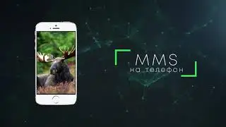 Обзор оригинальной фотоловушки ФИЛИН 120 ММС