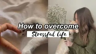 How to remove stress from your life😌
