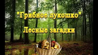 «Грибное лукошко» - лесные загадки.