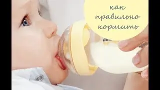 Как правильно кормить  малыша из бутылочки