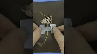 Emergency Duct Tape Bandage Hack 